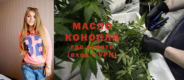 индика Заволжск