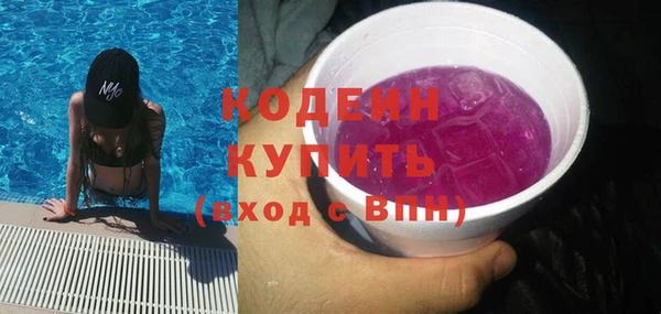 индика Заволжск