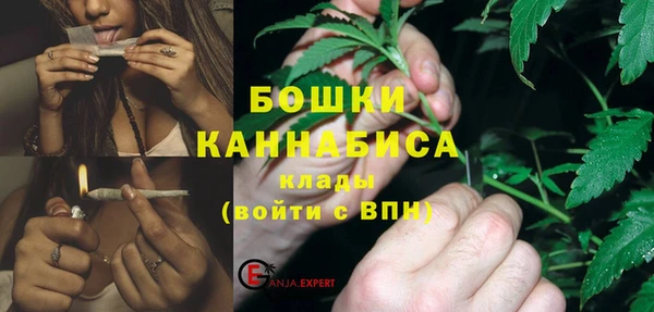 индика Заволжск