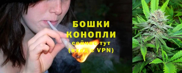 ГАЛЛЮЦИНОГЕННЫЕ ГРИБЫ Заводоуковск