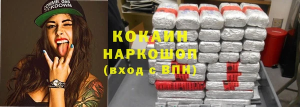 ГАЛЛЮЦИНОГЕННЫЕ ГРИБЫ Заводоуковск
