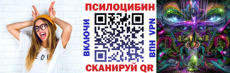 Галлюциногенные грибы Psilocybe Купить закладки Топки